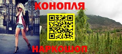 шишки Краснознаменск