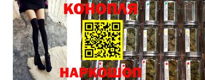 шишки Краснознаменск