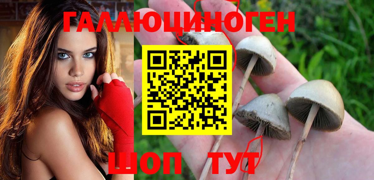 Изобильный  закладка  Псилоцибиновые грибы мухоморы  Вход с VPN  Галлюциногенные грибы MAGIC MUSHROOMS 