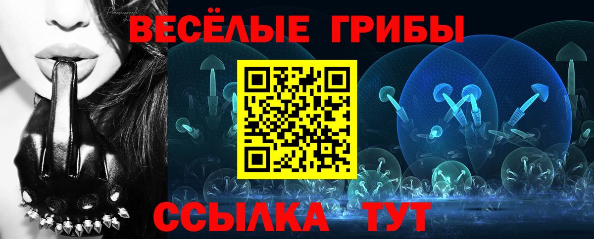 Псилоцибиновые грибы Psilocybe Изобильный